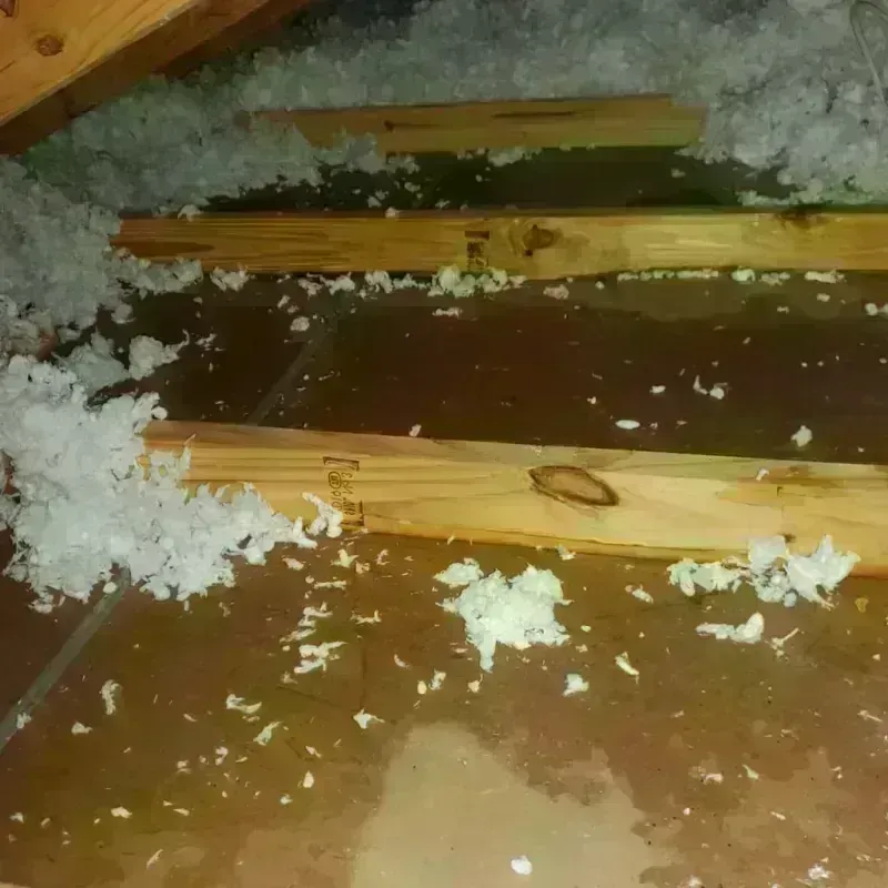 Attic Water Damage in Saint Martinville, LA